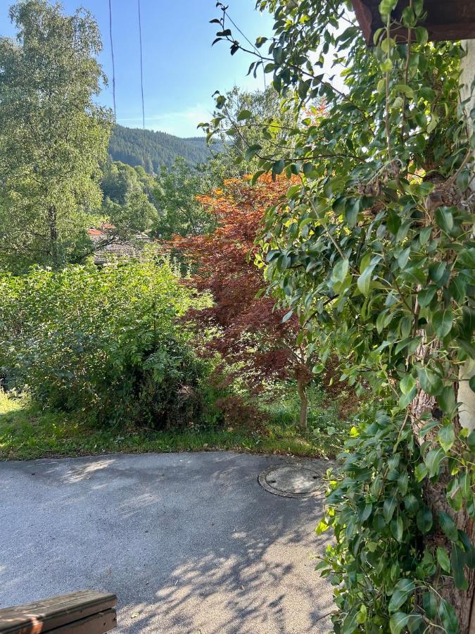 Apartment Huberspitz - Ruhe, Berge & Natur Hausham Dış mekan fotoğraf
